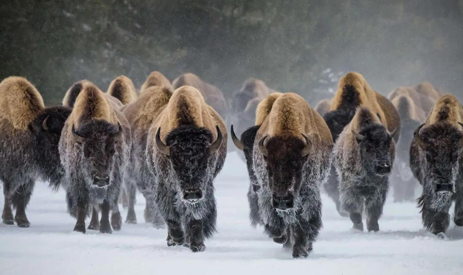 深圳優優叁陸壹網絡科技公司輪播圖1